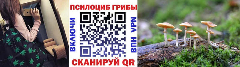 Псилоцибиновые грибы GOLDEN TEACHER  KRAKEN   Фёдоровский 